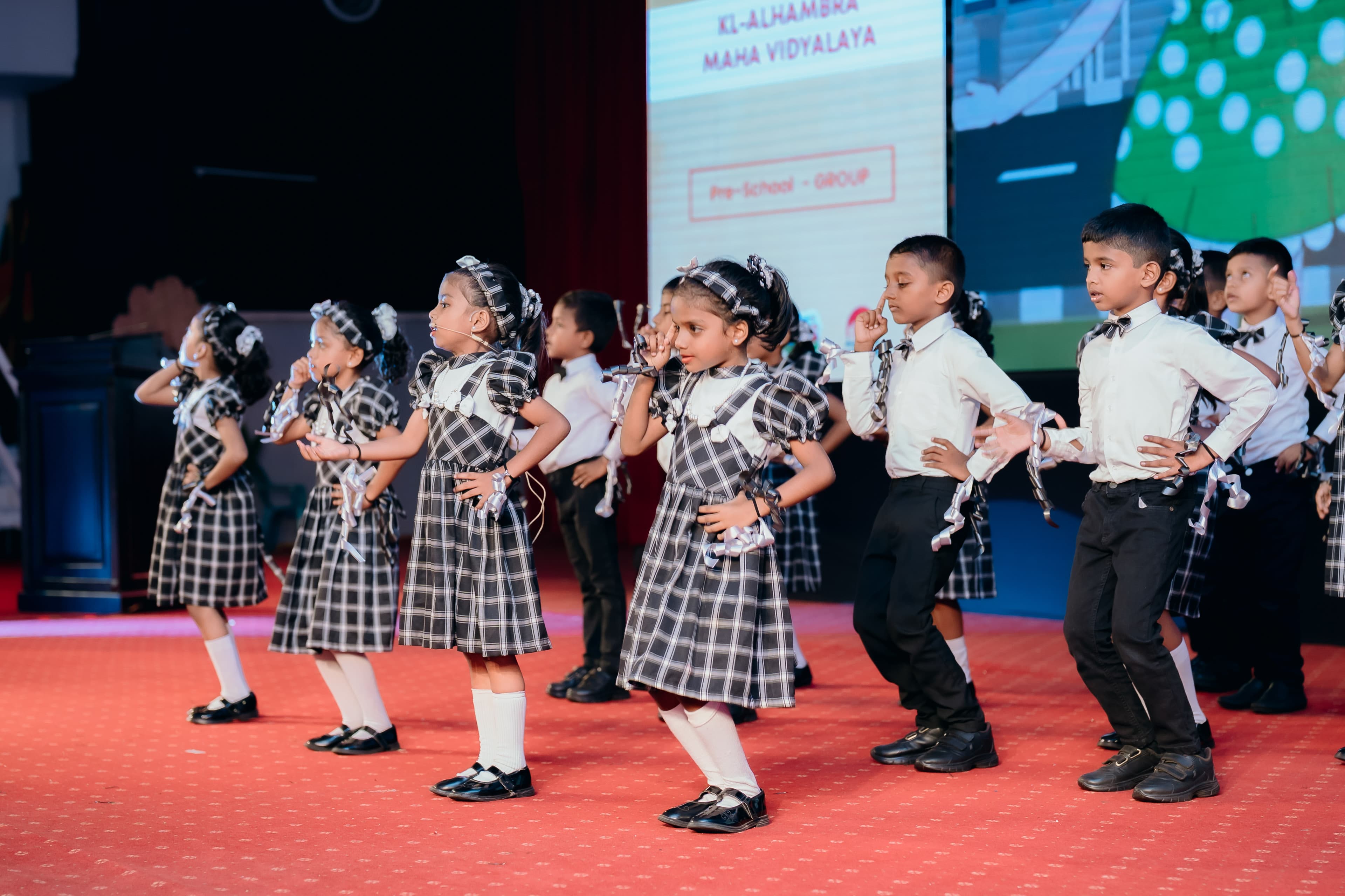 LMSV program activities